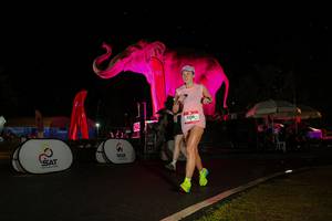 BIB: 
                            <button type="button" onclick="openModal(26543300)" class="btn btn-primary btn-sm float-right btn-popup" data-toggle="modal" data-target=".modal-high-quality">
                        <i class="fas fa-shopping-cart"></i> Add to Cart
                    </button>
                                            <button type="button" onclick="isThisMe(26543300, true)" class="btn btn-success btn-sm float-right btn-popup btn-isme hidden" data-toggle="tooltip" data-placement="bottom" title="นี่คือรูปของคุณใช่ไหม คลิกที่นี่เพื่อเอาเข้าอัลบั้ม">
                        <i class="fas fa-plus"></i> Add to album
                    </button>
                    <button type="button" onclick="isThisMe(26543300, false)" class="btn btn-warning btn-sm float-right btn-popup btn-isnotme hidden">
                        <i class="fas fa-ban"></i> Remove from album
                    </button>